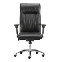 D-730 Tall Back Executive Chair - Image 2